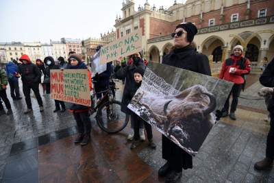 Zbudowali na Rynku tekturowy mur i go obalili.  "Murowana katastrofa" - zdjęcie 20