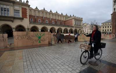 Zbudowali na Rynku tekturowy mur i go obalili.  "Murowana katastrofa" - zdjęcie 7