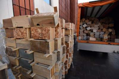 Walentynki po krakowsku! 1000 budek lęgowych dla ptaków, fot. Marek Lasyk - zdjęcie 5