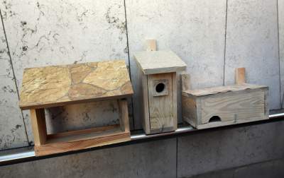 Walentynki po krakowsku! 1000 budek lęgowych dla ptaków, fot. Marek Lasyk - zdjęcie 18