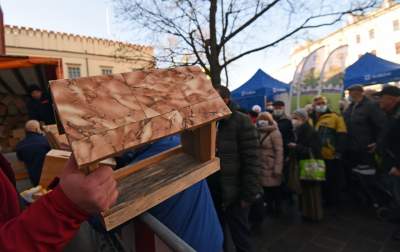 Walentynki po krakowsku! 1000 budek lęgowych dla ptaków, fot. Marek Lasyk - zdjęcie 17