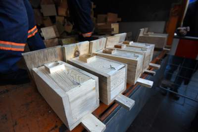 Walentynki po krakowsku! 1000 budek lęgowych dla ptaków, fot. Marek Lasyk - zdjęcie 10