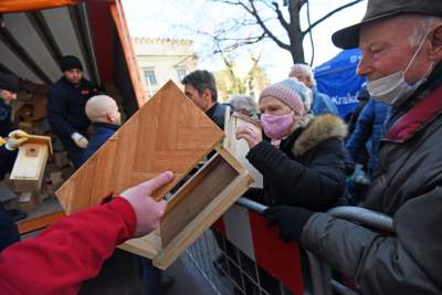 Walentynki po krakowsku! 1000 budek lęgowych dla ptaków, fot. Marek Lasyk - zdjęcie 27