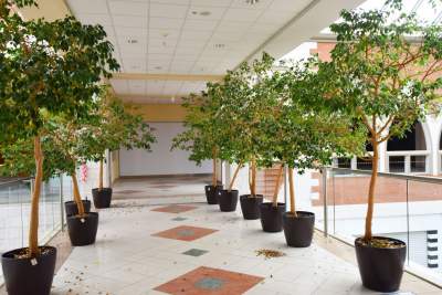 Opustoszała galeria handlowa, fot. Marek Lasyk - zdjęcie 39