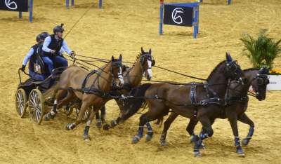 Mistrzowie powożenia. Rewelacyjne widowisko w Tauron Arenie - zdjęcie 5
