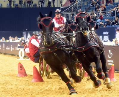Mistrzowie powożenia. Rewelacyjne widowisko w Tauron Arenie - zdjęcie 16