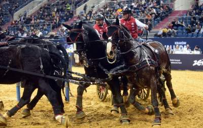 Mistrzowie powożenia. Rewelacyjne widowisko w Tauron Arenie - zdjęcie 17