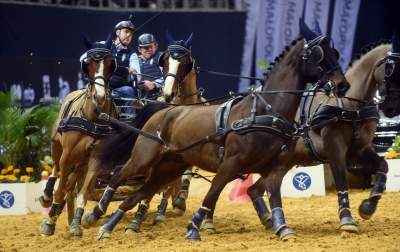 Mistrzowie powożenia. Rewelacyjne widowisko w Tauron Arenie - zdjęcie 28