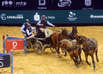 Mistrzowie powożenia. Rewelacyjne widowisko w Tauron Arenie - zdjęcie 13