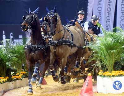 Mistrzowie powożenia. Rewelacyjne widowisko w Tauron Arenie - zdjęcie 26