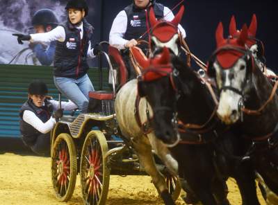 Mistrzowie powożenia. Rewelacyjne widowisko w Tauron Arenie - zdjęcie 2