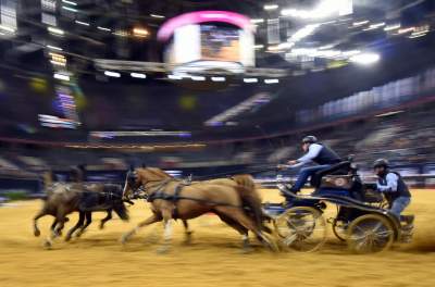 Mistrzowie powożenia. Rewelacyjne widowisko w Tauron Arenie - zdjęcie 29