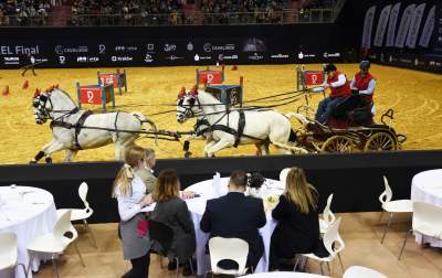 Mistrzowie powożenia. Rewelacyjne widowisko w Tauron Arenie - zdjęcie 4