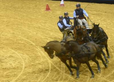 Mistrzowie powożenia. Rewelacyjne widowisko w Tauron Arenie - zdjęcie 12