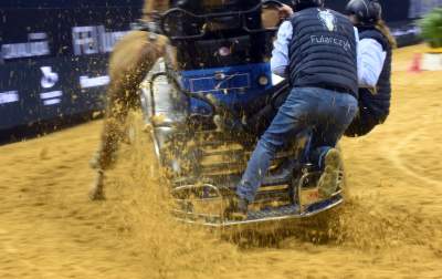 Mistrzowie powożenia. Rewelacyjne widowisko w Tauron Arenie - zdjęcie 25