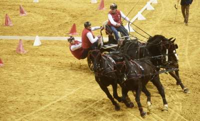 Mistrzowie powożenia. Rewelacyjne widowisko w Tauron Arenie - zdjęcie 9