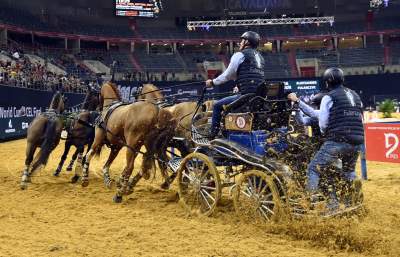 Mistrzowie powożenia. Rewelacyjne widowisko w Tauron Arenie - zdjęcie 32