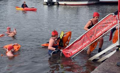 Lubią popływać w styczniu w Wiśle pod Wawelem - zdjęcie 11