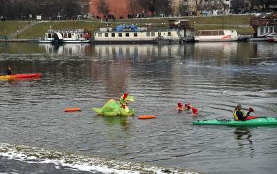 Lubią popływać w styczniu w Wiśle pod Wawelem - zdjęcie 12