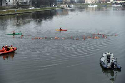 Lubią popływać w styczniu w Wiśle pod Wawelem - zdjęcie 9