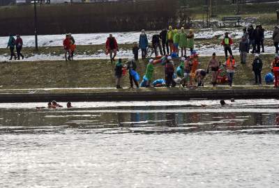 Lubią popływać w styczniu w Wiśle pod Wawelem - zdjęcie 20