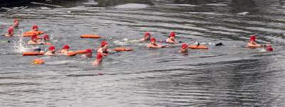 Lubią popływać w styczniu w Wiśle pod Wawelem - zdjęcie 6