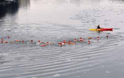 Lubią popływać w styczniu w Wiśle pod Wawelem - zdjęcie 7
