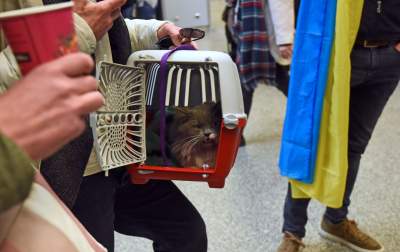 Dworzec Główny: punkt recepcyjny dla uchodźców z Ukrainy - zdjęcie 15