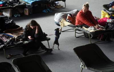 Przystanek Hala Caracovii. W drodze do nadziei - zdjęcie 28