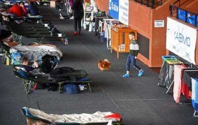 Przystanek Hala Caracovii. W drodze do nadziei - zdjęcie 13