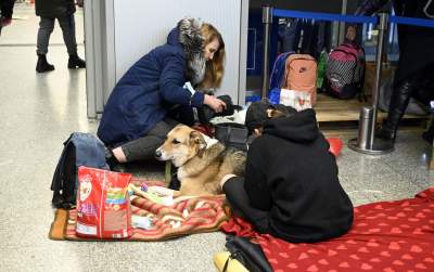 Krakowski dworzec PKP: przystanek na drodze tułaczki - zdjęcie 29