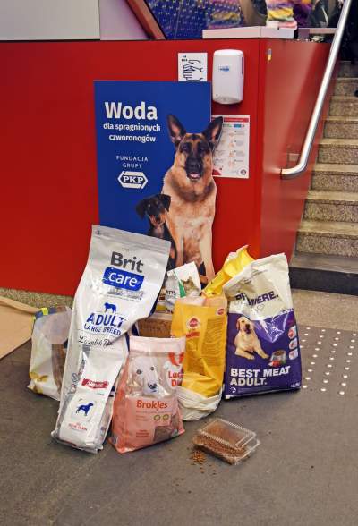 One też uciekają przed wojną. Sceny z krakowskiego dworca - zdjęcie 10