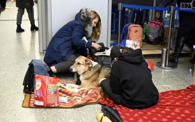 One też uciekają przed wojną. Sceny z krakowskiego dworca - zdjęcie 3