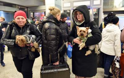 One też uciekają przed wojną. Sceny z krakowskiego dworca - zdjęcie 7