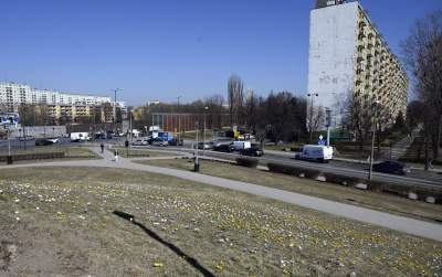 Skoro jest już wiosna, to muszą w Krakowie być krokusy - zdjęcie 2