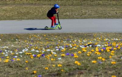 Skoro jest już wiosna, to muszą w Krakowie być krokusy - zdjęcie 28