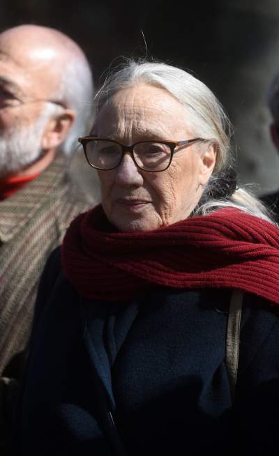 Na Plantach zasadzono Drzewo Poezji. Obok powalonego czerwonego buka - zdjęcie 15