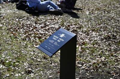 Na Plantach zasadzono Drzewo Poezji. Obok powalonego czerwonego buka - zdjęcie 1