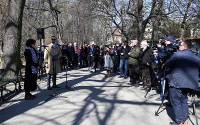 Na Plantach zasadzono Drzewo Poezji. Obok powalonego czerwonego buka - zdjęcie 2