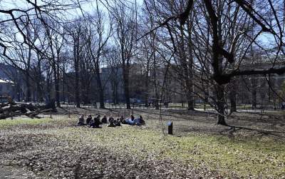 Na Plantach zasadzono Drzewo Poezji. Obok powalonego czerwonego buka - zdjęcie 4