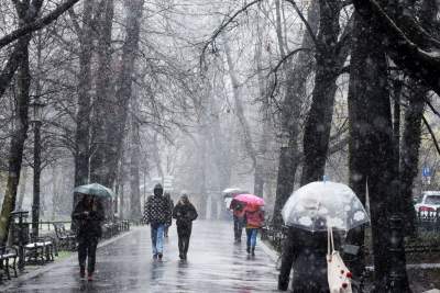 Skoro jest kwiecień, to musi być również... zima - zdjęcie 3