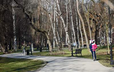 Park Krakowski: miliony wyrzucone w błoto? Zdecydowanie NIE - zdjęcie 2