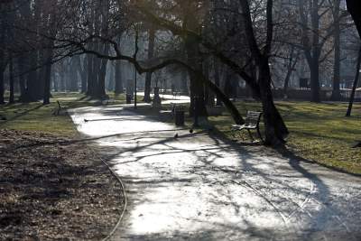 Park Krakowski: miliony wyrzucone w błoto? Zdecydowanie NIE - zdjęcie 10