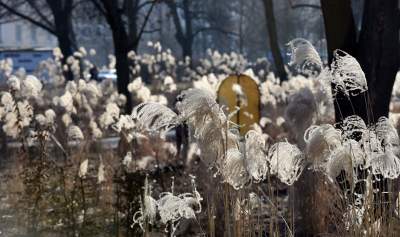 Park Krakowski: miliony wyrzucone w błoto? Zdecydowanie NIE - zdjęcie 16