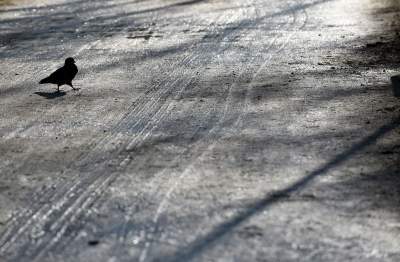 Park Krakowski: miliony wyrzucone w błoto? Zdecydowanie NIE - zdjęcie 5