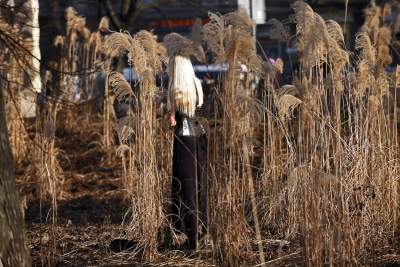 Park Krakowski: miliony wyrzucone w błoto? Zdecydowanie NIE - zdjęcie 11