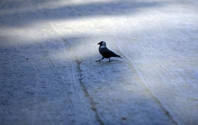 Park Krakowski: miliony wyrzucone w błoto? Zdecydowanie NIE - zdjęcie 7