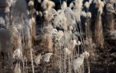 Park Krakowski: miliony wyrzucone w błoto? Zdecydowanie NIE - zdjęcie 13