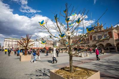 Drzewko emausowe i inne wielkanocne tradycje na Rynku, fot. Jan Graczyński - zdjęcie 3