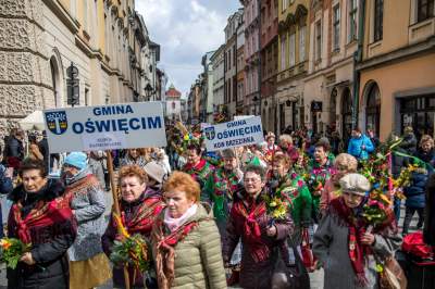 Niedziela Palmowa w Krakowie w obiektywie Jana Graczyńskiego - zdjęcie 10